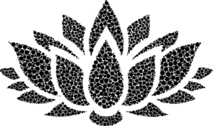 flower-1817513_640
